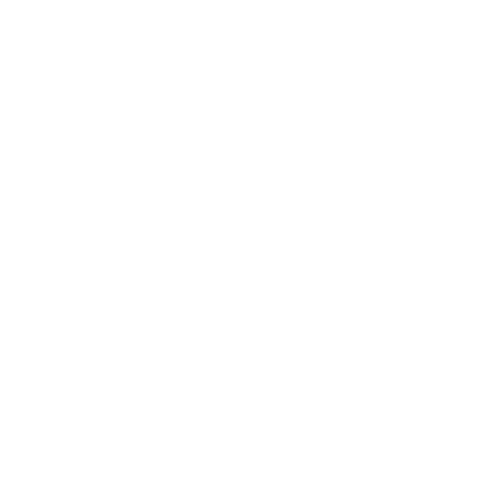 Nicoleta Oancea & Band